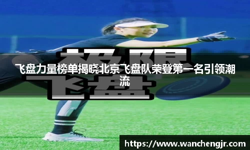 飞盘力量榜单揭晓北京飞盘队荣登第一名引领潮流